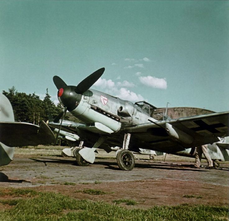 fc1acef7d3e0f73ac820467417a77262.jpg